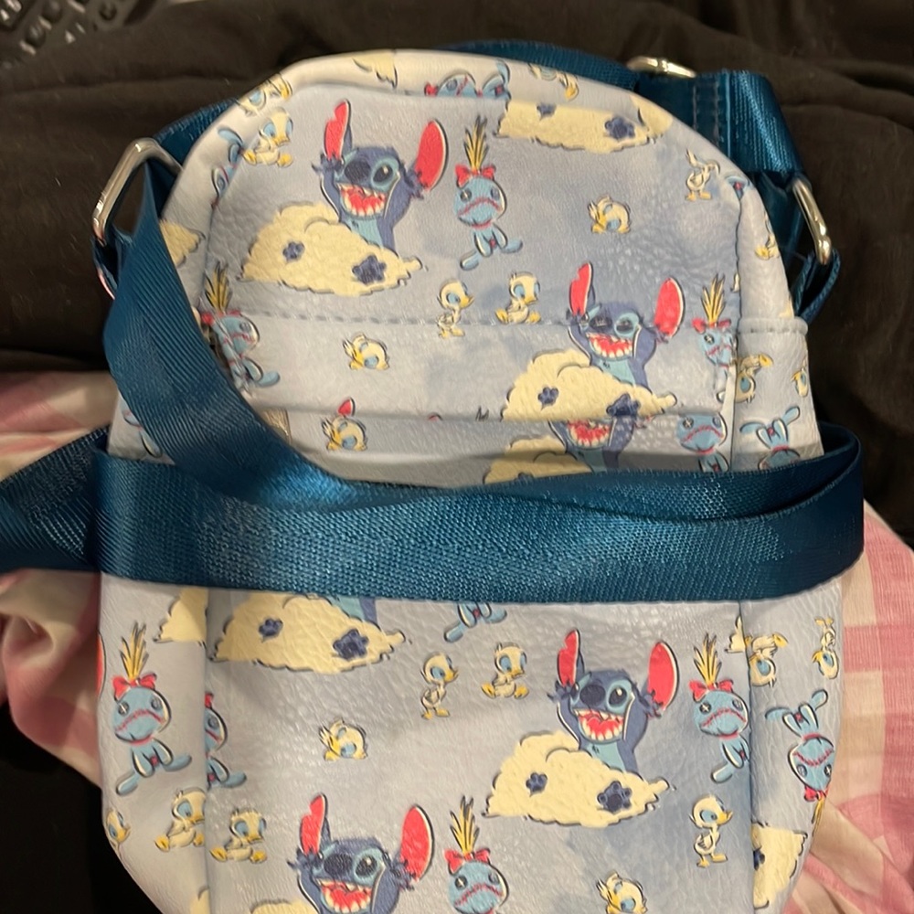 Buckle-Down Stitch purse